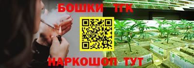 шишки Краснознаменск